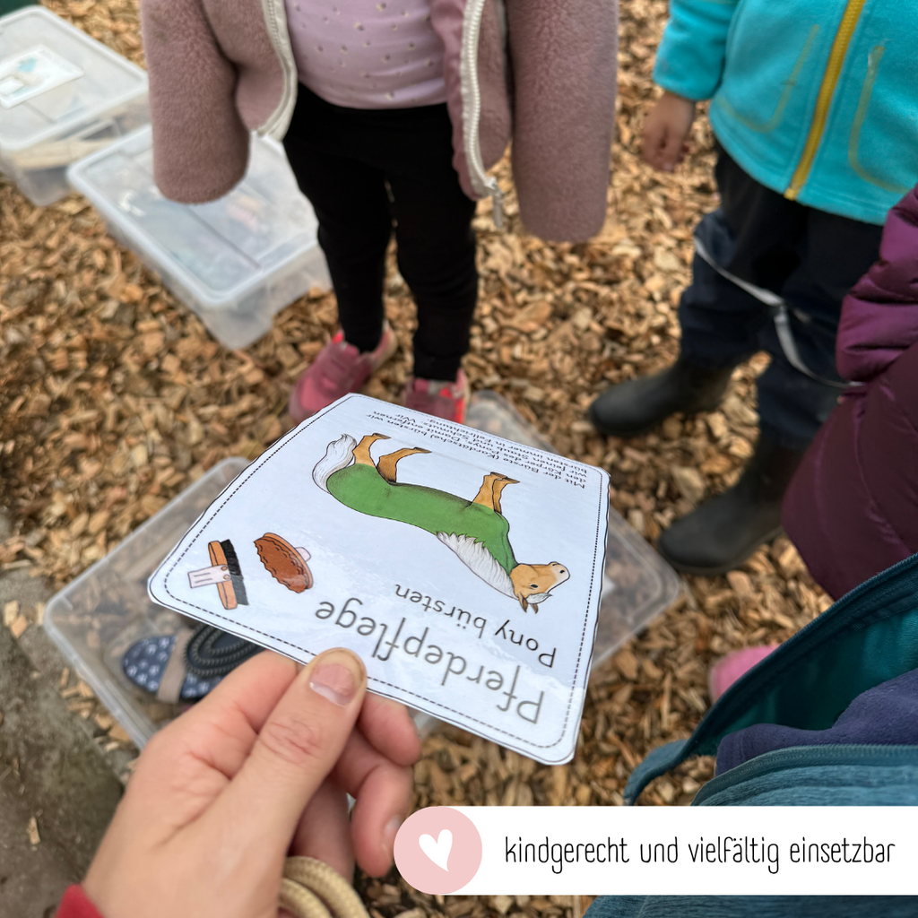 Ablaufkarten Pferdepflege