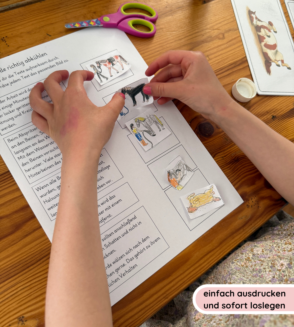 Pferdepflege - Pferde richtig abkühlen