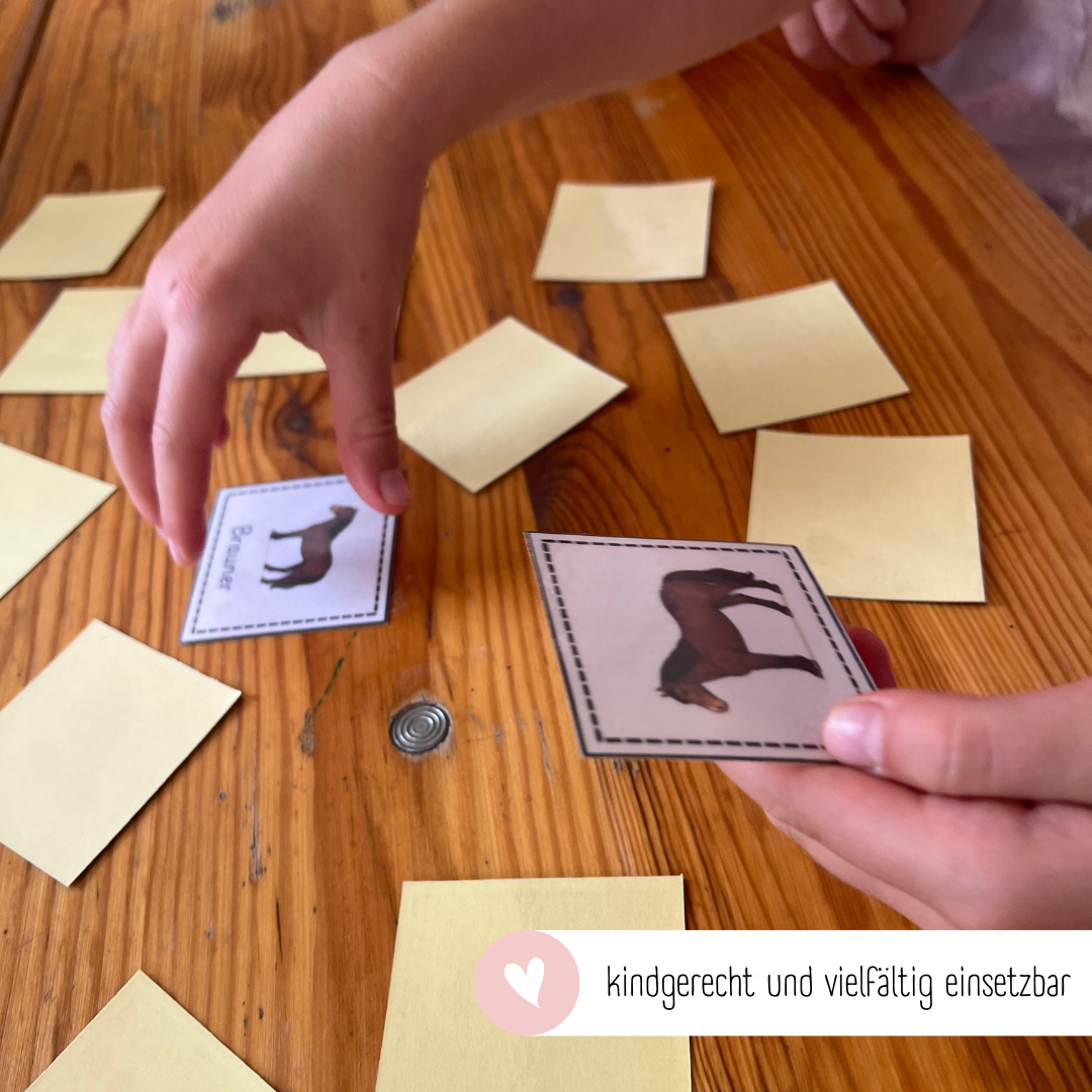 Zuordnungsspiele Pferdefarben