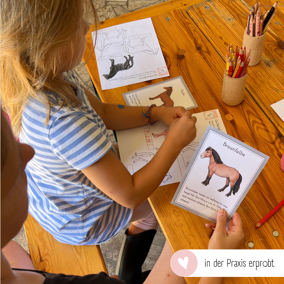 kindgerechte Infotexte Pferdefarben