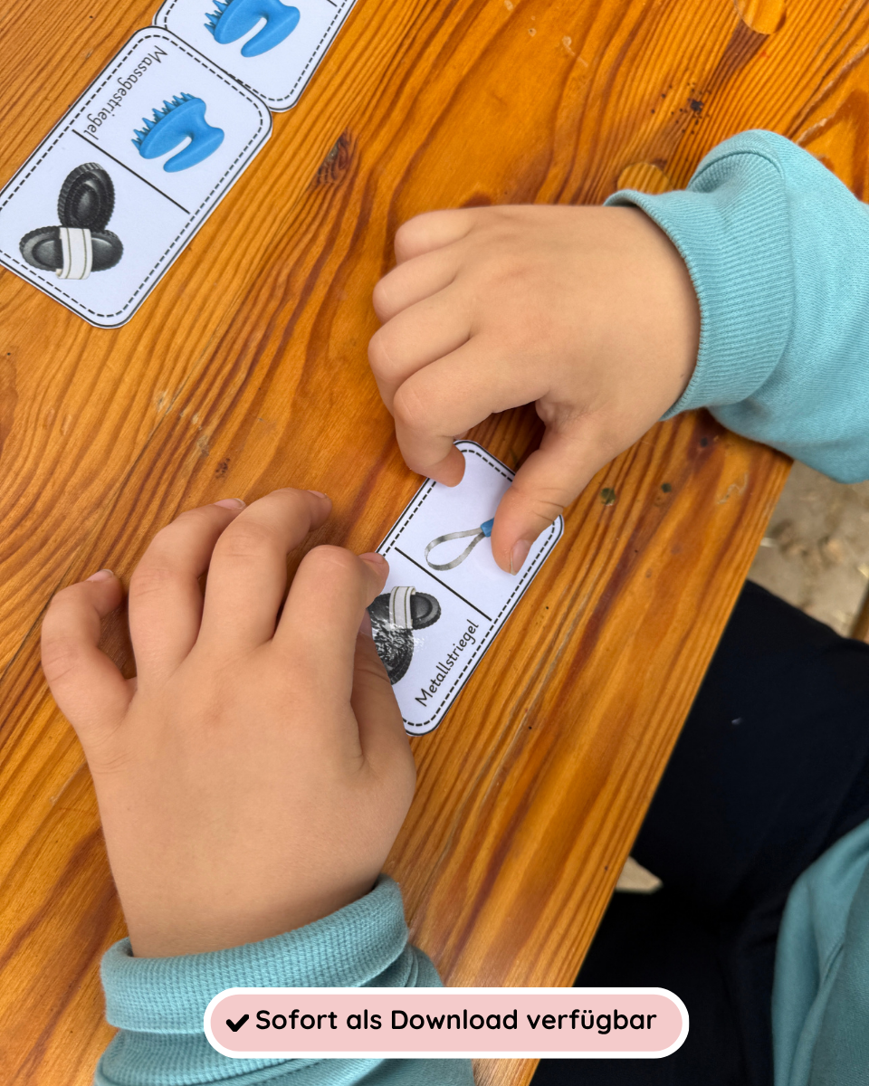Learning Dominoes: Horse Care