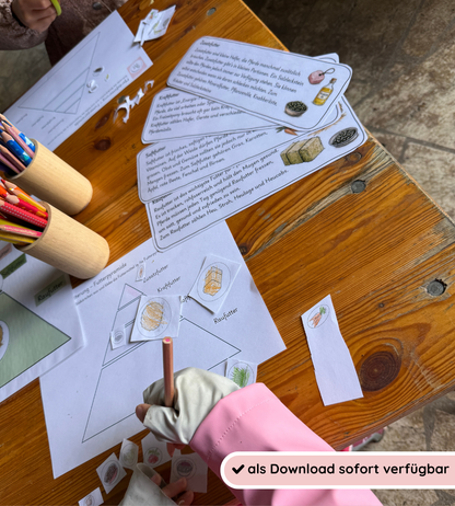Child-friendly educational materials & worksheets - Understanding and safely applying the food pyramid