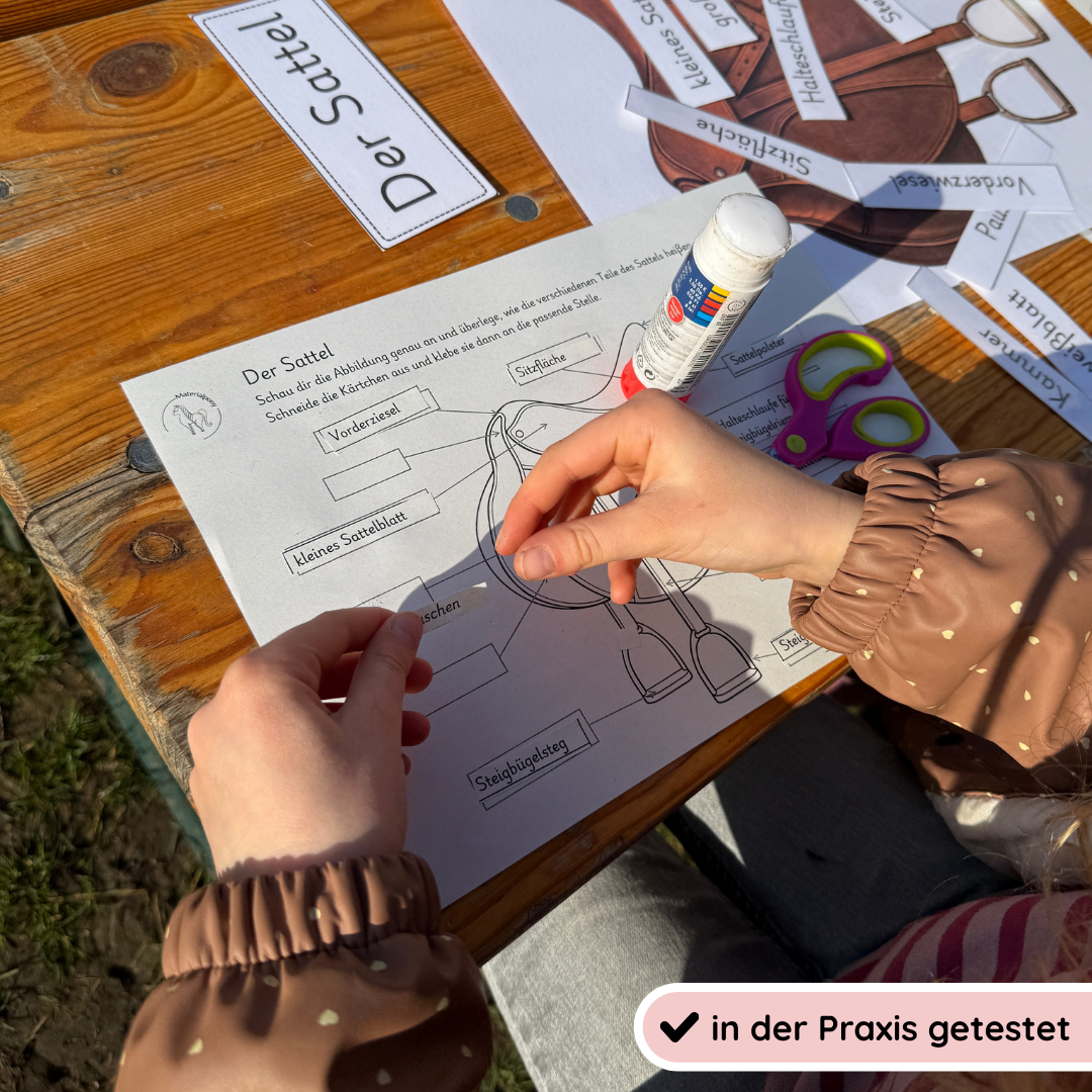 kindgerechte Arbeitsblätter und Lehr- und Lernposter Sattel