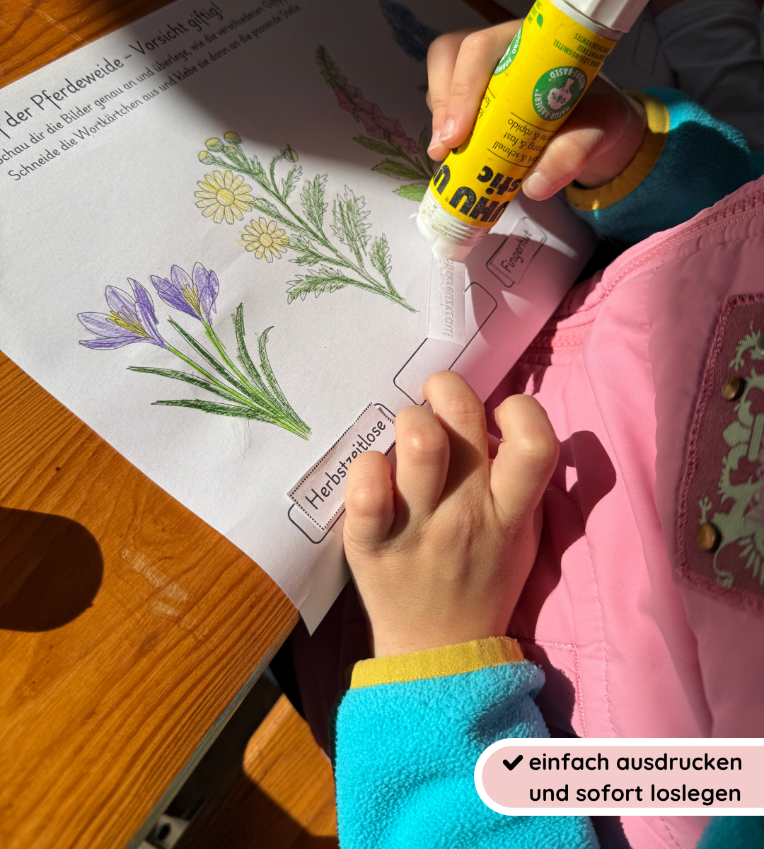 Materialpaket Nutz- und Giftpflamnzen