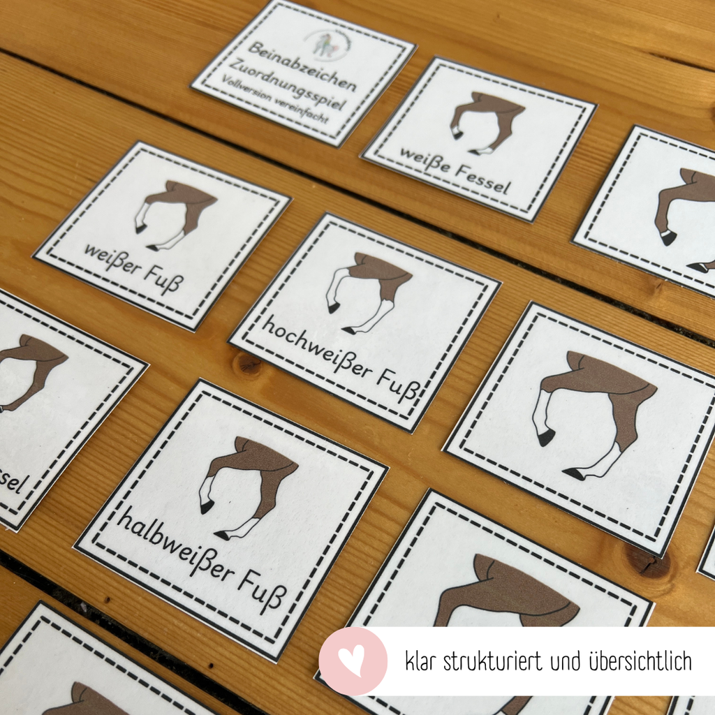 Zuordnungsspiele Beinabzeichen