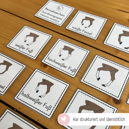 Zuordnungsspiele Beinabzeichen