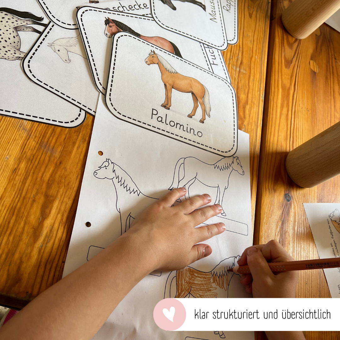 kindgerechte Arbeitsblätter Pferdefarben