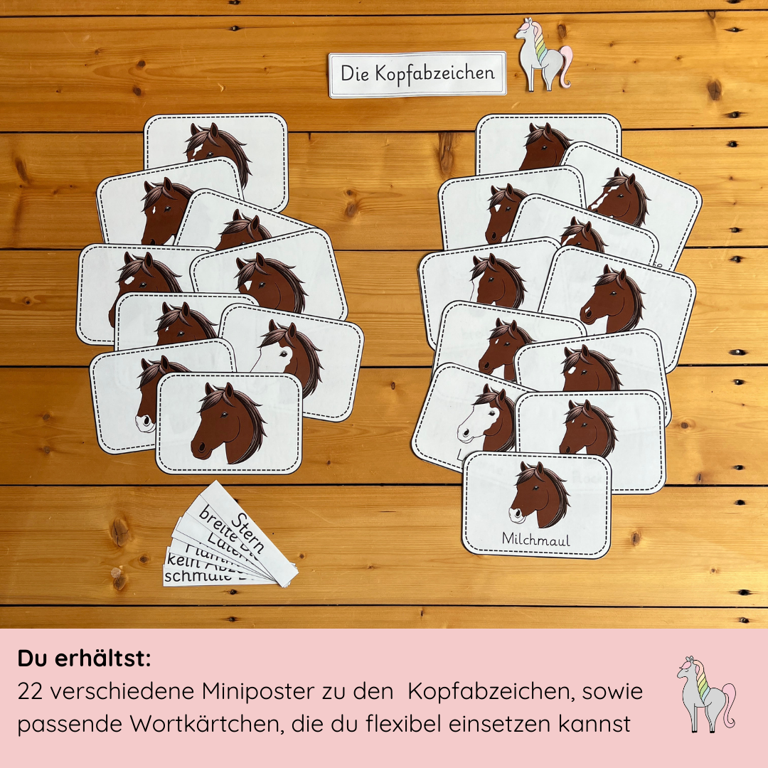 Unser Kopfabzeichen-Bundle