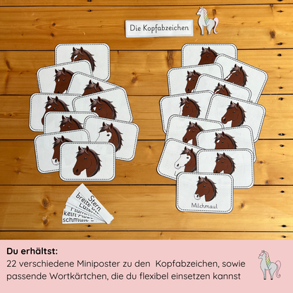 Our Head Badge Bundle