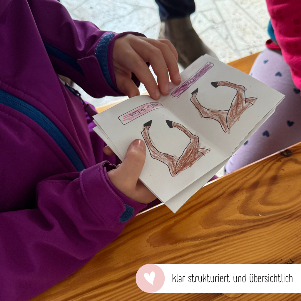 Falthefte Beinabzeichen