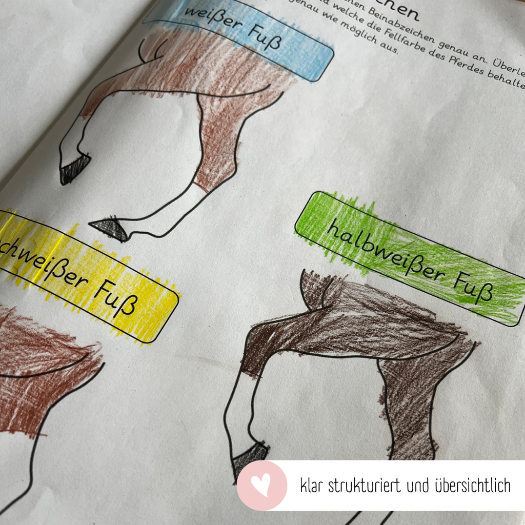 kindgerechte Arbeitsblätter Beinabzeichen