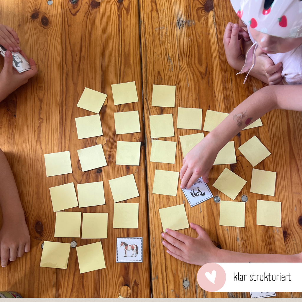 Zuordnungsspiele Pferdefarben