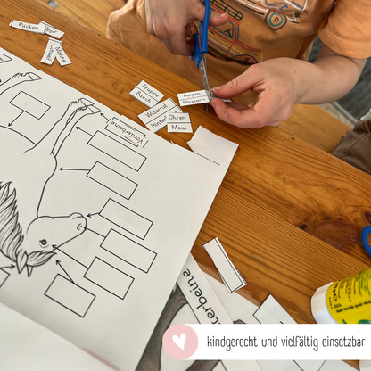 child-friendly worksheets and teaching and learning posters on horse anatomy