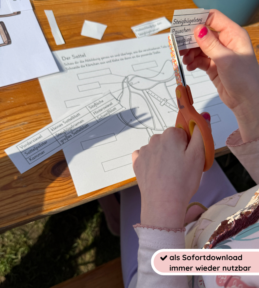 Kindgerechte Arbeitsblätter und Lernposter – Sattel einfach verstehen