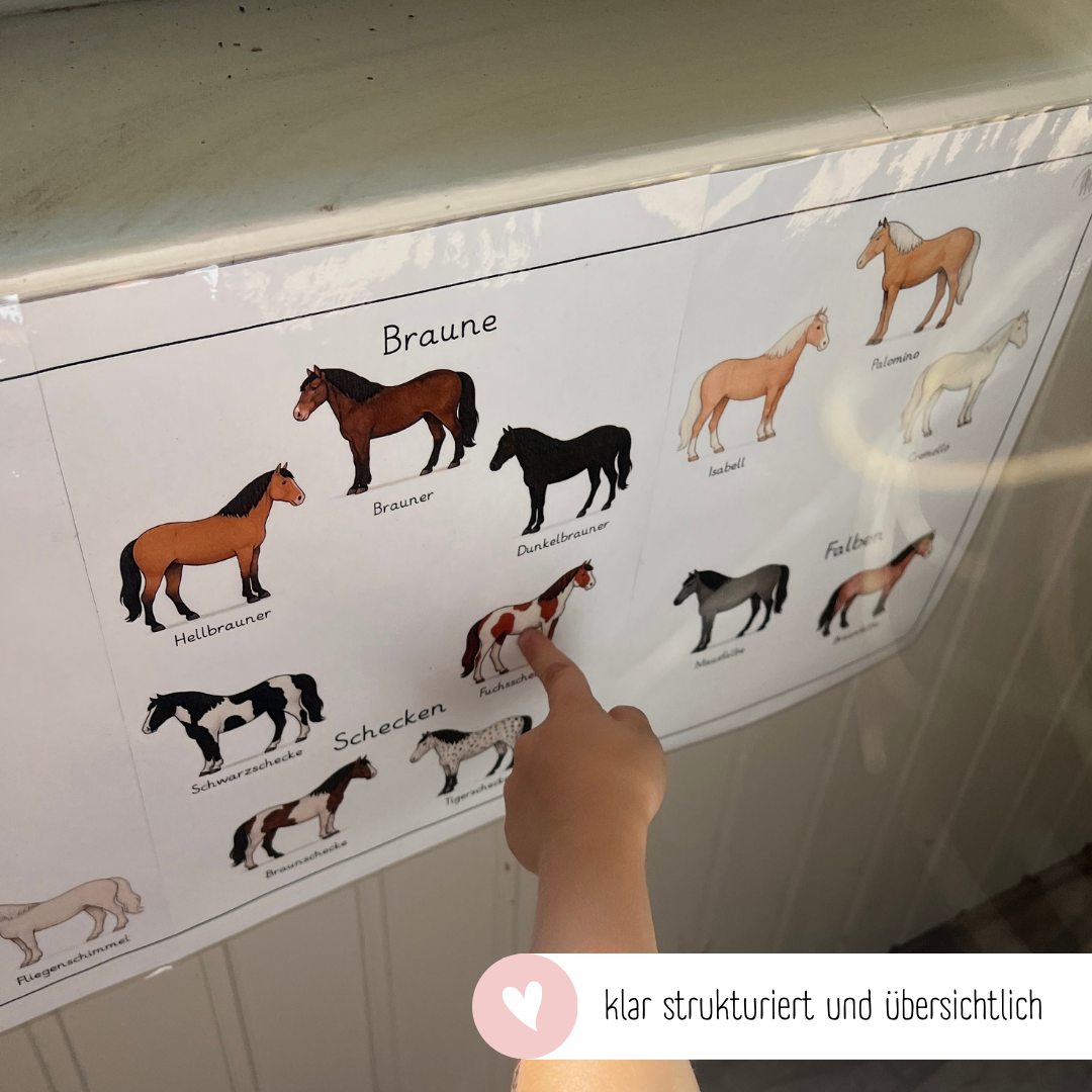 Lehrposter Pferdefarben