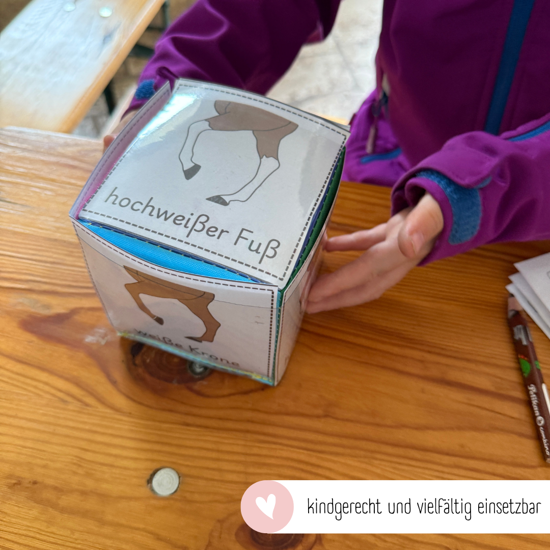 Steckwürfelkarten Beinabzeichen
