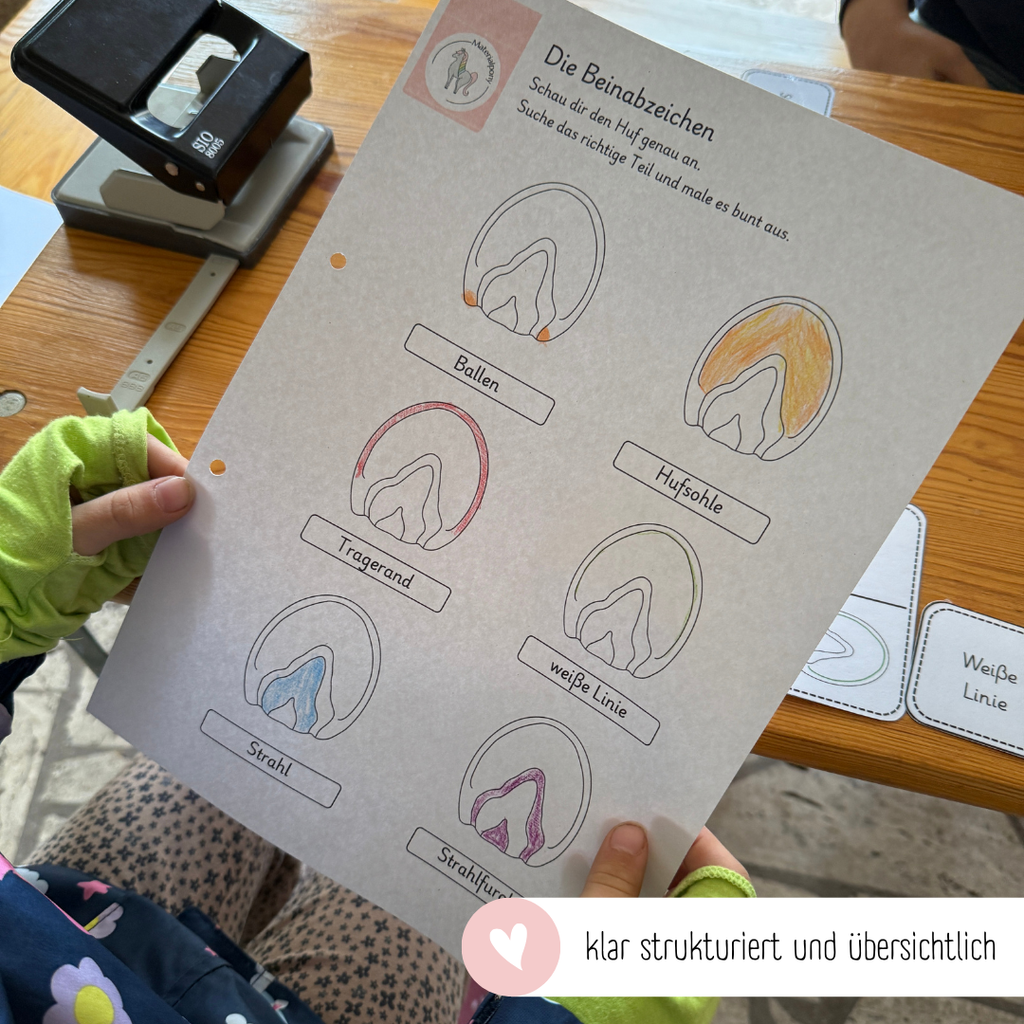 kindgerechte Arbeitsblätter Pferdehuf