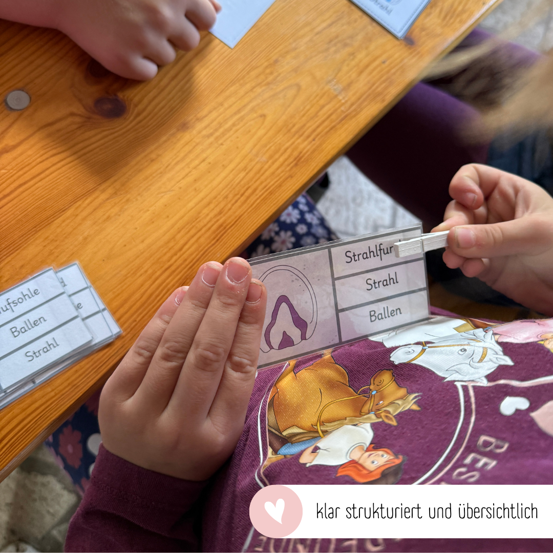 Klammerkarten Pferdehuf