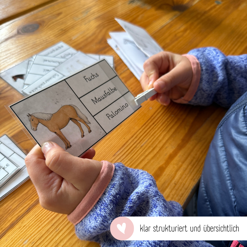 Klammerkarten Pferdefarben