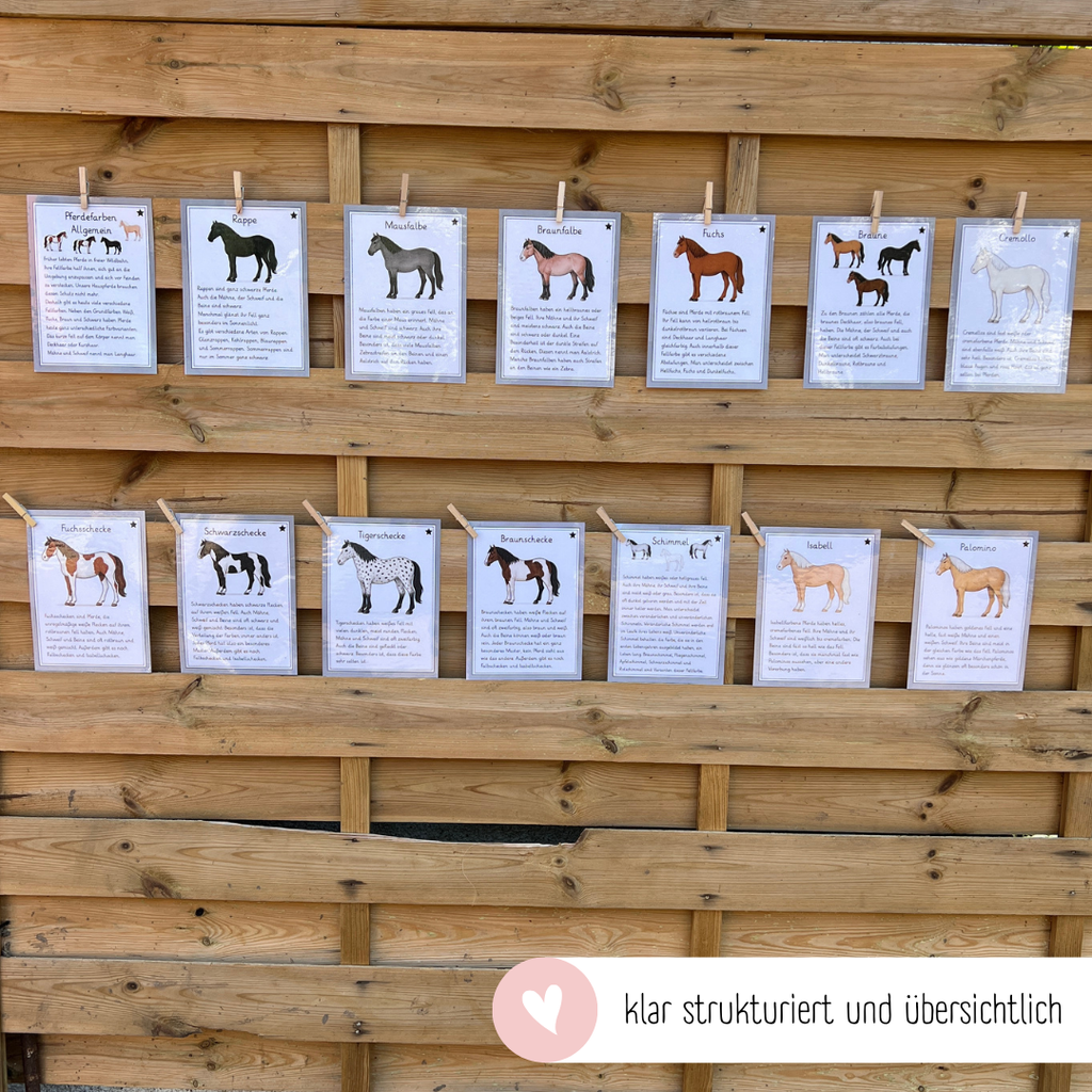 kindgerechte Infotexte Pferdefarben