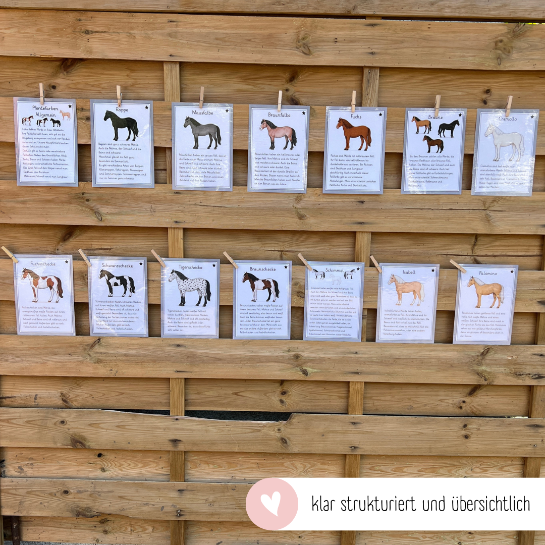 kindgerechte Infotexte Pferdefarben