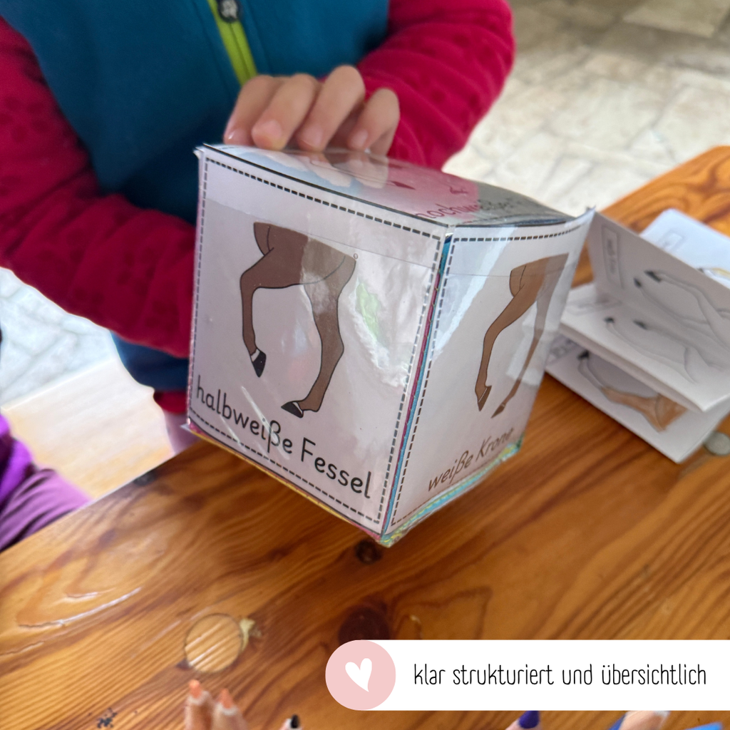Steckwürfelkarten Beinabzeichen