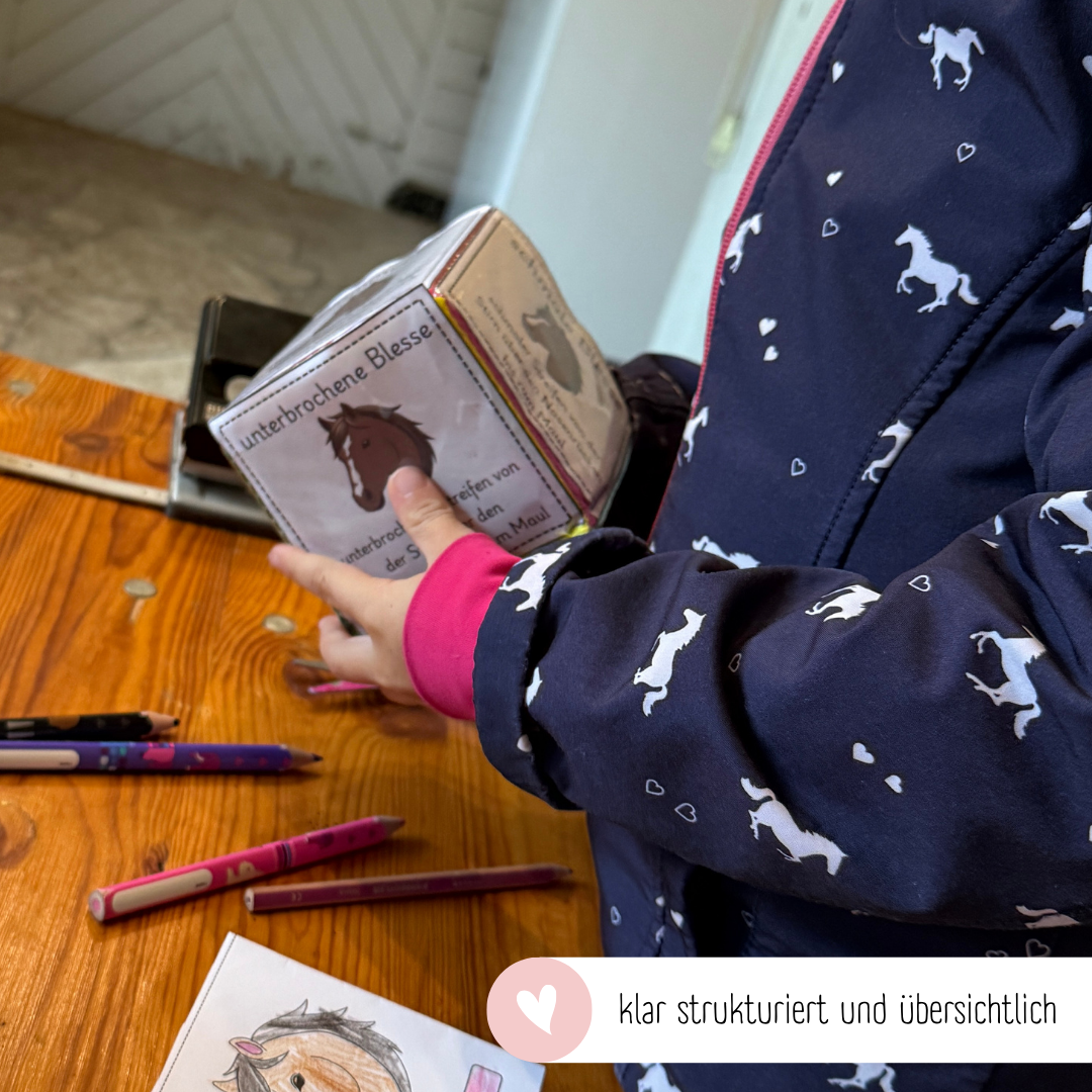 Steckwürfelkarten Kopfabzeichen