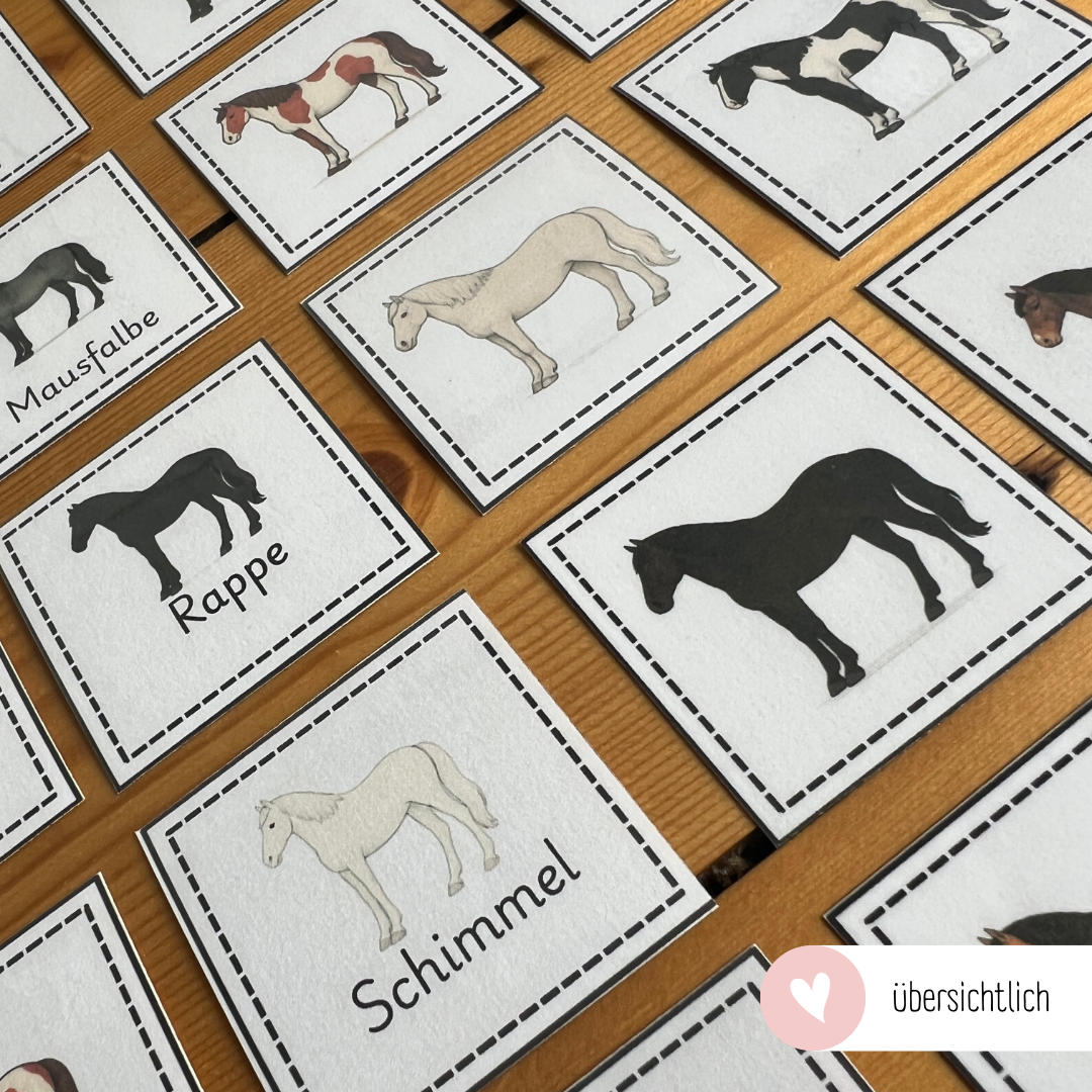 Zuordnungsspiele Pferdefarben