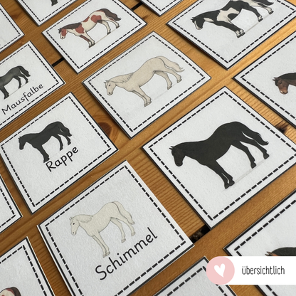 Matching Games Horse Colors