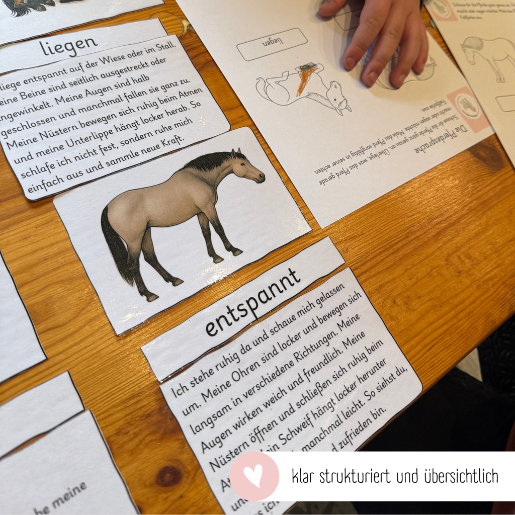 Legematerial Pferdesprache