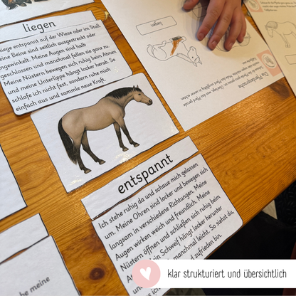 Legematerial Pferdesprache