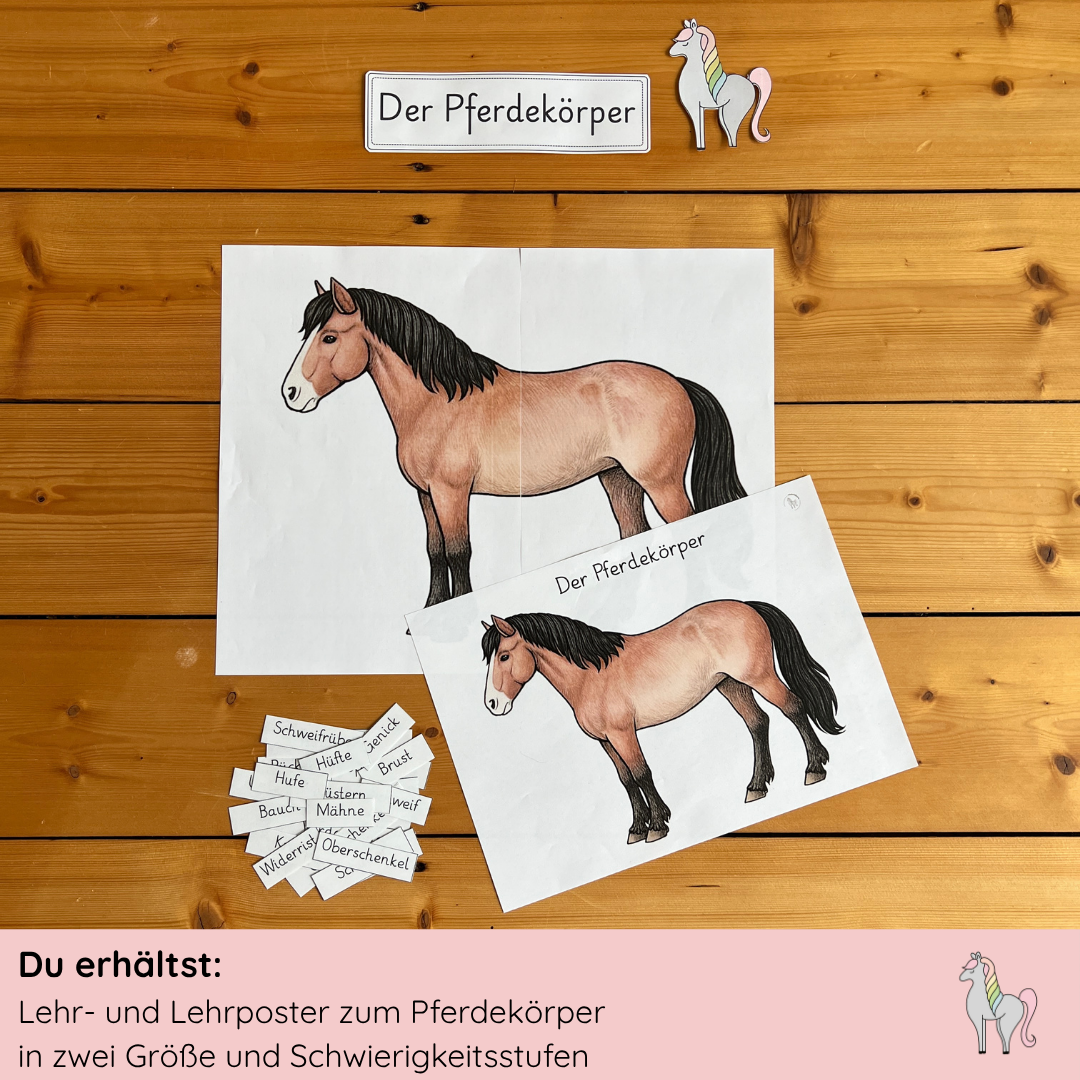 Materialpony Starterpaket