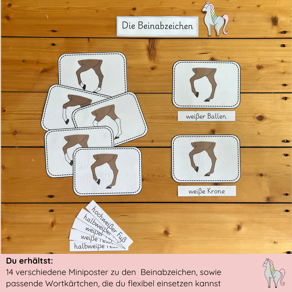 Unser Beinabzeichen-Bundle