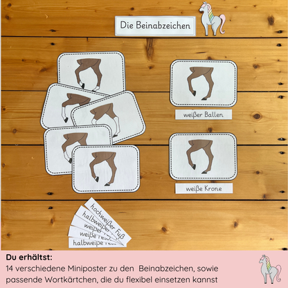 Our Leg Badge Bundle
