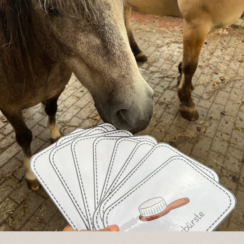 Materialpony - Rundum versorgt