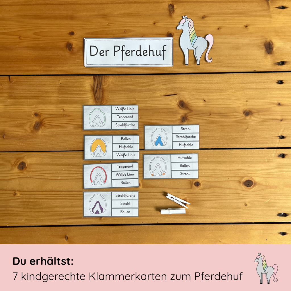 Unser Pferdehuf-Bundle