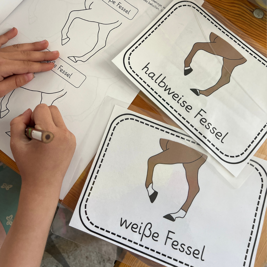 Unser Beinabzeichen-Bundle