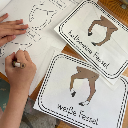 Our Leg Badge Bundle