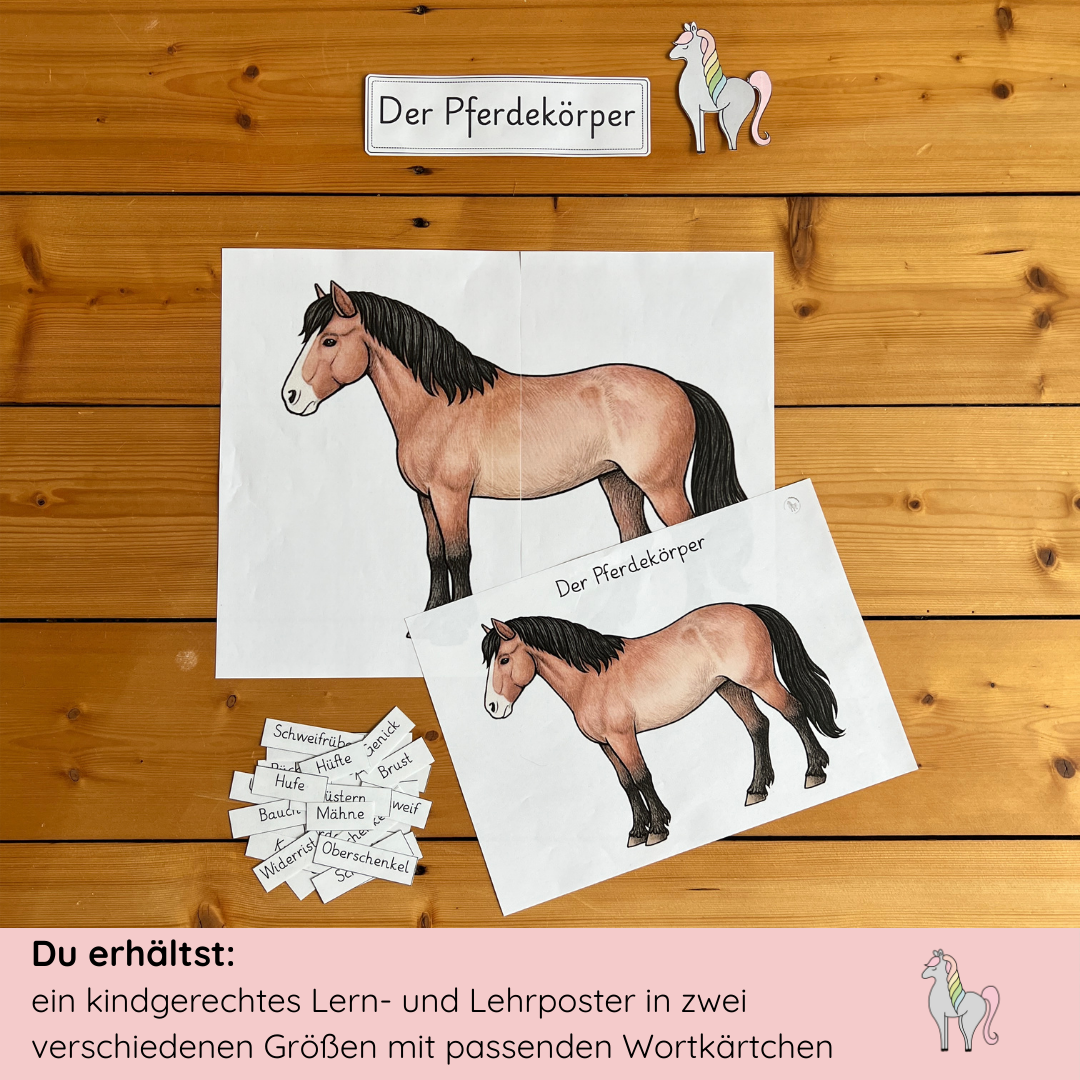 Materialpony - Rundum versorgt