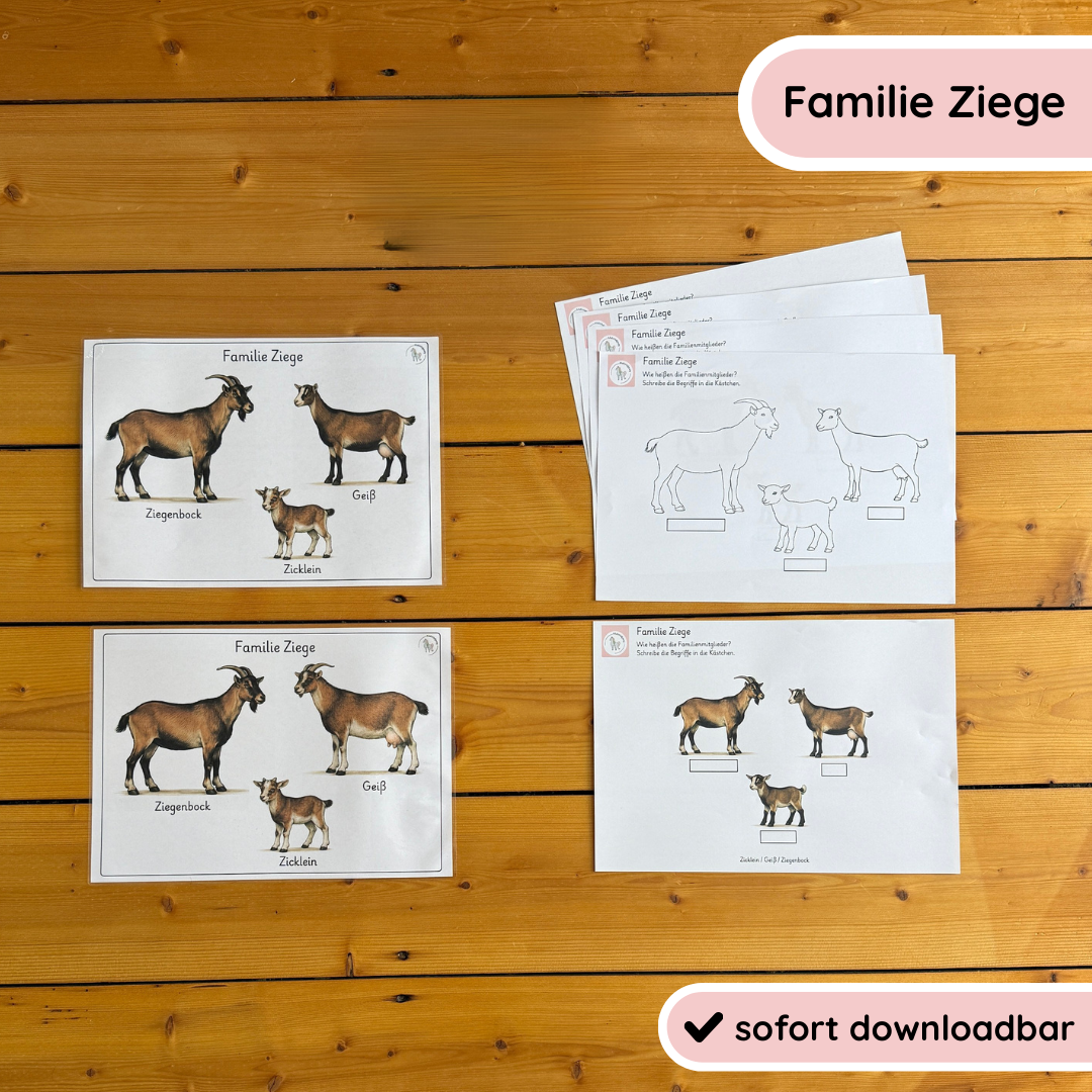 Familie Ziege