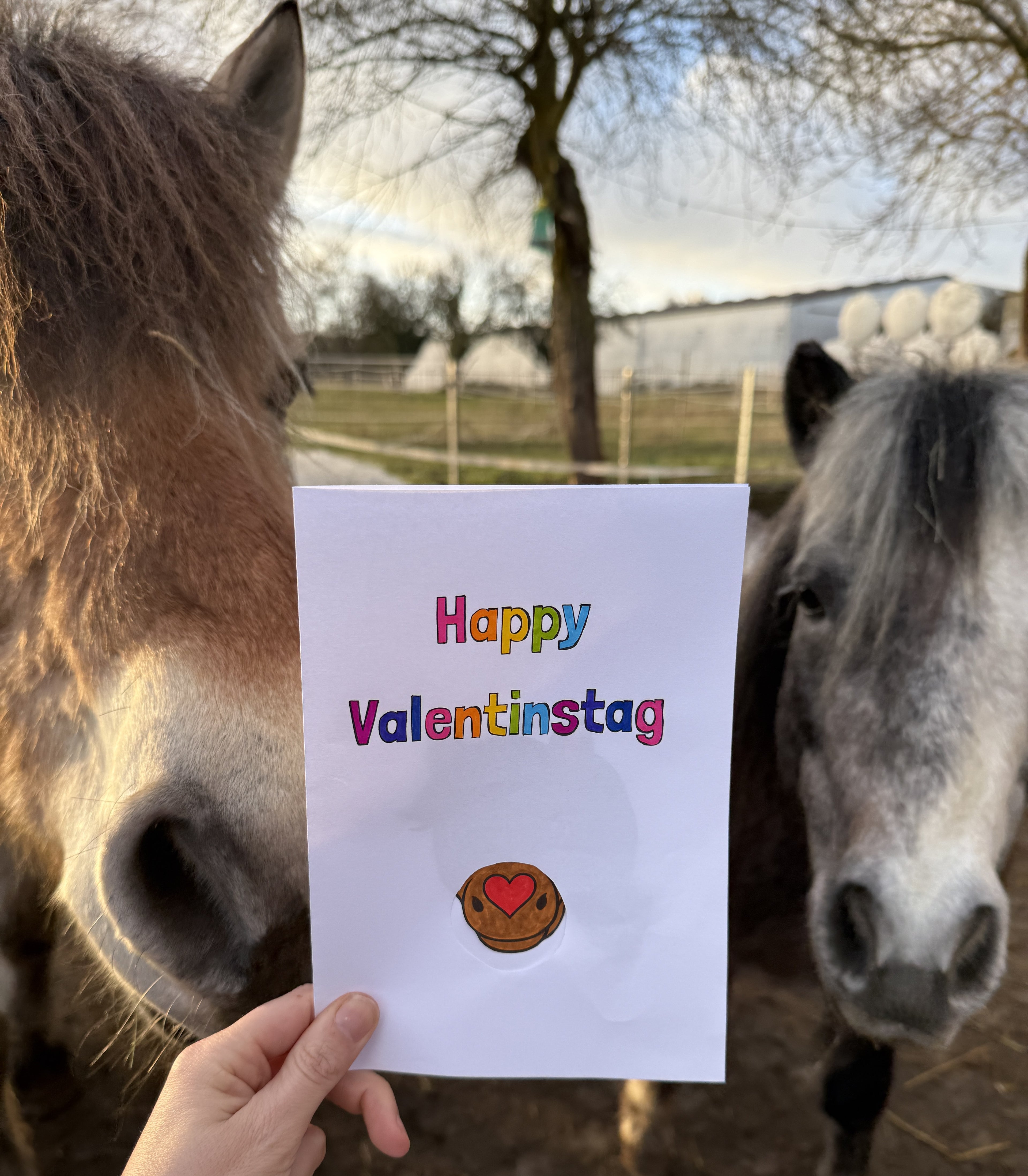 Pferdestarke Valentinstagskarte