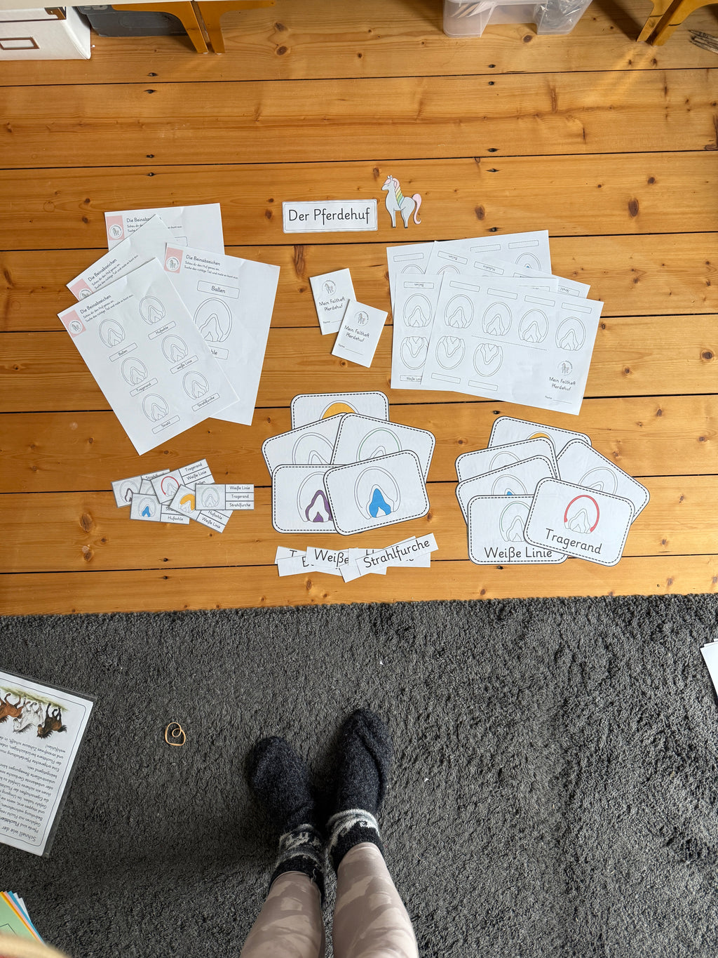 Unser Pferdehuf-Bundle