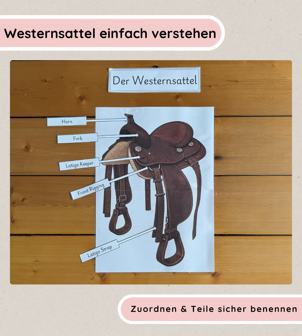 Kindgerechte Arbeitsblätter und Lernposter – Westernsattel einfach verstehen