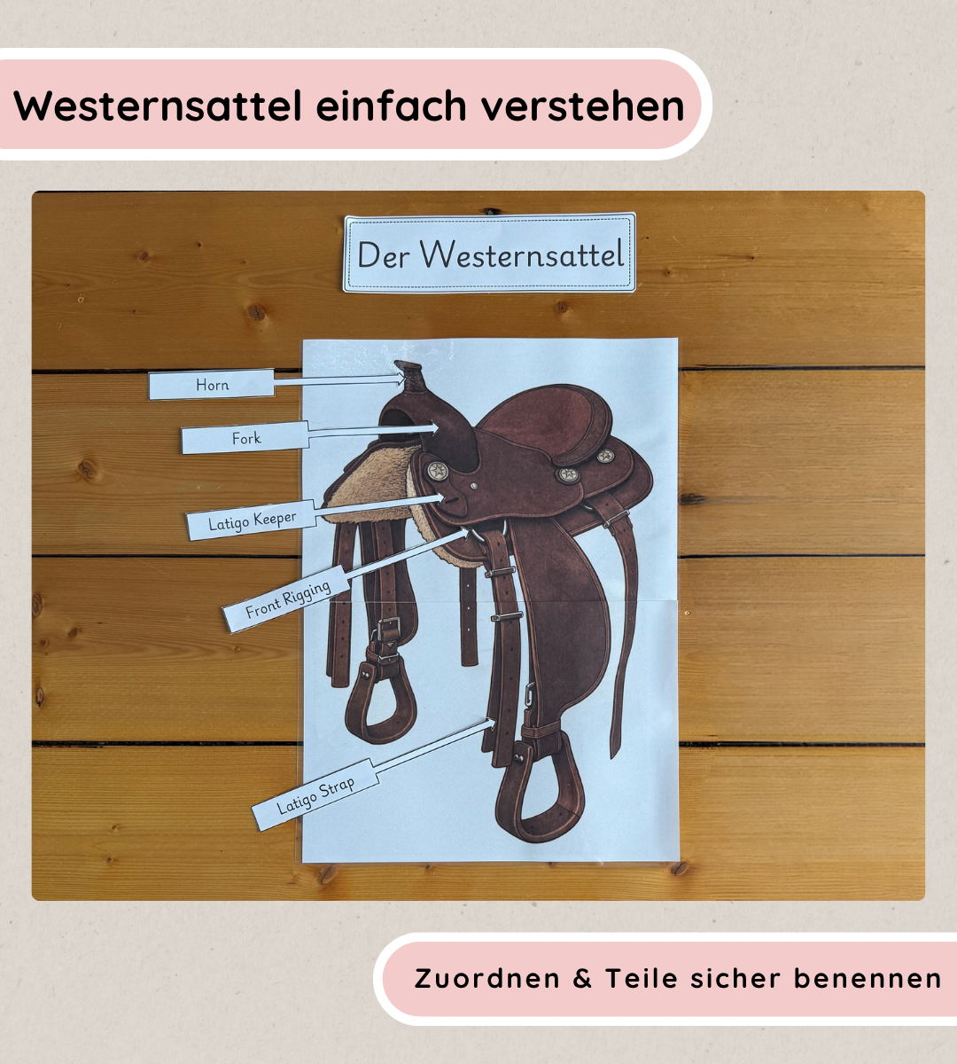 Kindgerechte Arbeitsblätter und Lernposter – Westernsattel einfach verstehen
