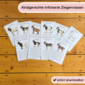 Kindgerechte Infotexte Ziegenrassen