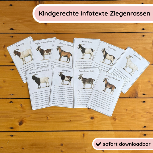 Child-friendly information texts Goat breeds