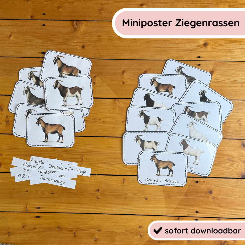 Unser Ziegen-Bundle